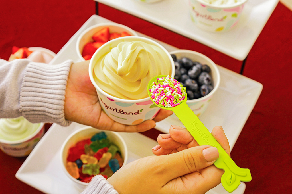 Frozen deals yogurt catering