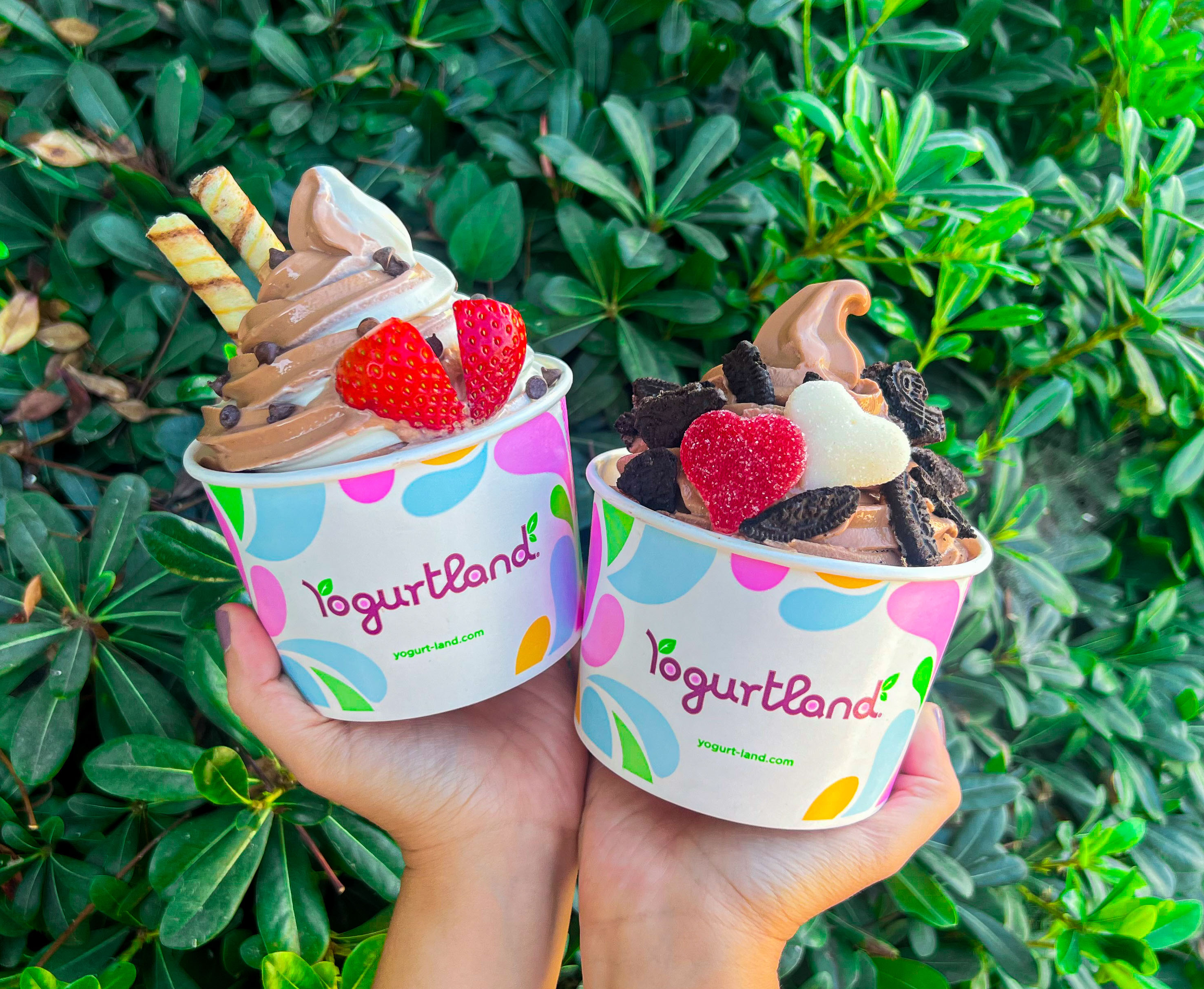 yogurtland-news-yogurtland-swirls-into-love-with-sweet-new-seasonal