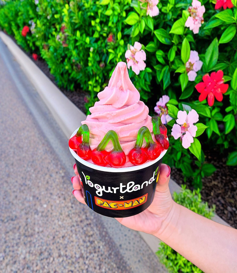 A cup of Yogurtland frozen yogurt with candy toppings.