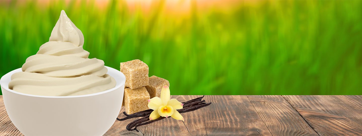 A cup of frozen yogurt alongside vanilla bean and brown sugar cubes.