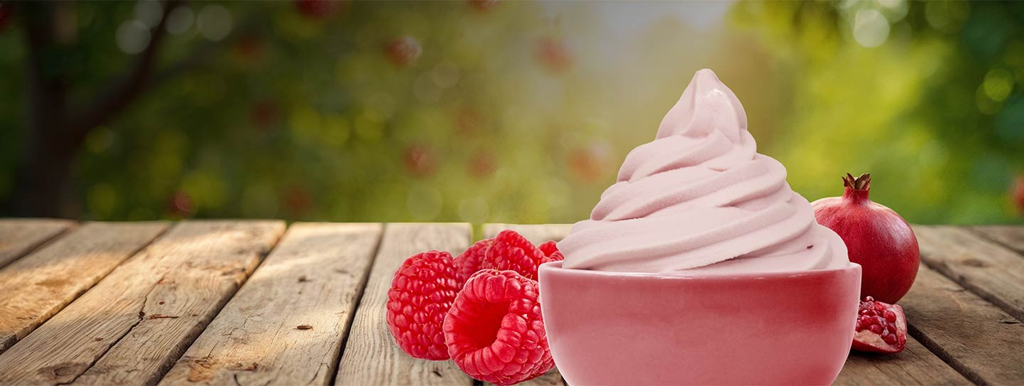 A cup of frozen yogurt alongside raspberries and pomegranate.